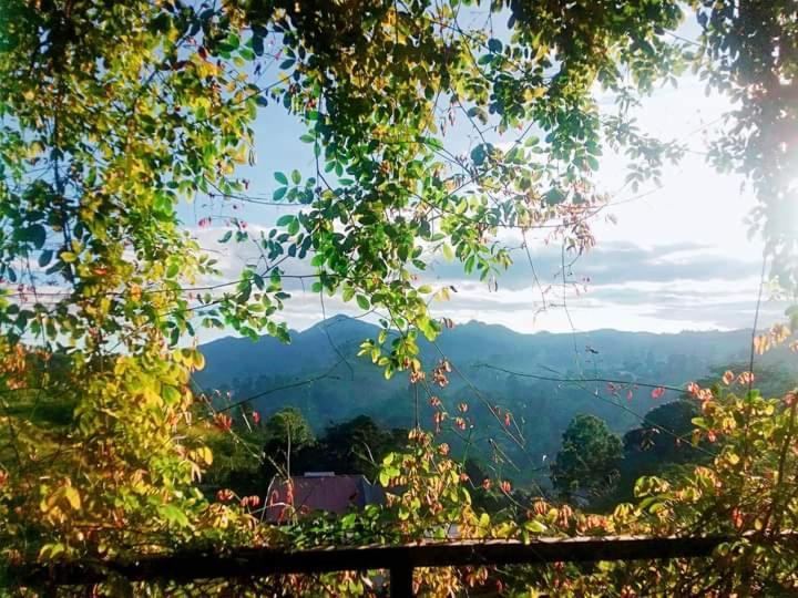 Отель Ella Dream Mount Экстерьер фото